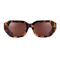 Small & Mighty / Tortoise & Black